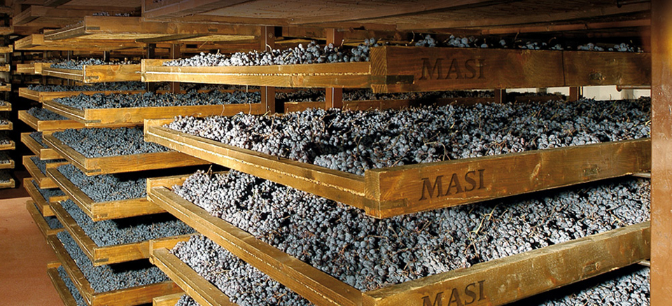 アルゼンチンの魂とヴェネツィアの流儀の融合!優バランス!!二重発酵♪【マァジ・トゥプンガート パッソ・ドーブレ 2008】和酒とワインの店